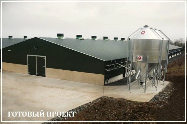 Этапы возведения птицефабрики от завода ВелесТент-шбк